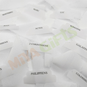 Tùy chỉnh tối giản vellum Kinh Thánh Tab mờ mờ Tạp Chí chỉ số dán 66 tiếng Anh Pháp kịch bản tự dính Christian - Product Image 2