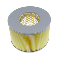 Filtre à air 17801-61030 Référence croisée 17801-60040 LX1140 PA3542 pour Toyota Land Cruiser J80 Série 70 Coaster HZJ80