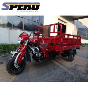 2019 Khung Đôi Vận Chuyển Hàng Hóa 3 Wheeler 200CC 250CC Loader