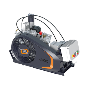 New Air High-pressure Compressor PE 300-TE <b>Gasoline</b>-Powered Portable Piston Motor 300 L/min Compact Structure Easy Operate - Product Image 1