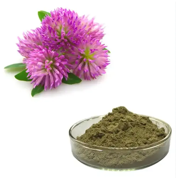 Best Quality Factory Supply Bulk Red clover Powder for drinking
