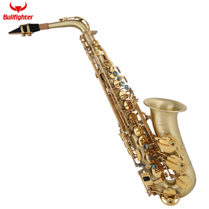 プロの陽極線画完成した管楽器S-40手頃な価格のSax ProfessionalEb Alto Saxophone with Accessories - Product Image 2