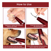 Kit de brossage des dents pour chien pour éliminer la plaque et le tartre avec kit de nettoyage des dents pour chien étanche IPX6 Nettoyeur électrique des dents pour animaux de compagnie