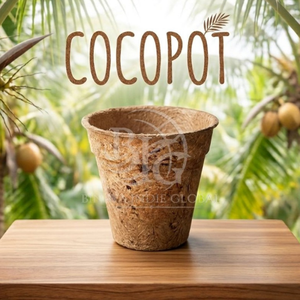 Maceta Eco-Premium de Fibra de Coco hecha con fibra de coco 100% natural y biodegradable (17cm x 15cm) ecológica. - Product Image 5