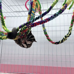 Parque infantil multifuncional para mascotas pequeñas: <span class=keywords><strong>Escalera</strong></span> de escalada para hámster, puente de cuerda de ardilla y juego de columpio de percha de algodón colorido para loros - Product Image 2