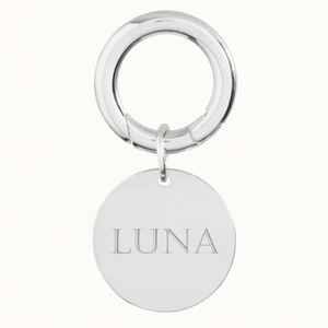 Collar de Metal Personalizado con Nombre y Logotipo Grabado para Mascotas, Perros, Gatos, Cachorros y Caballos, Venta al Por Mayor - Product Image 5