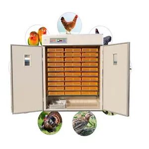 Otomatik 2 in 1 bıldırcın ördek güvercin tavuk yumurta kuluçka makinesi kuluçka HJ-IH2640