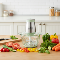 Mini hachoir à viande électrique avec boîtier en plastique 400W, hachoir à aliments et à viande pour usage en restaurant