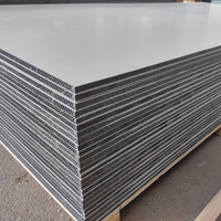 Panneaux de construction imperméables des Philippines, coffrage en PVC plastique creux de 18 mm pour béton