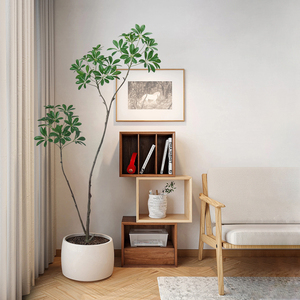 ต้นไม้ประดิษฐ์เชฟเฟอร์ราฮาวายปลอม ขายดี สำหรับตกแต่งบ้าน - Product Image 5