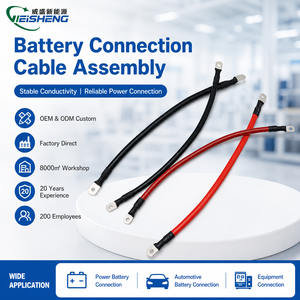 Câble de connexion de batterie personnalisé, fil d'alimentation, borne annulaire, cosse en cuivre, faisceau automobile pour onduleur, OEM - Product Image 1