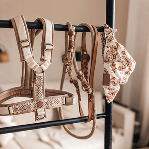 Lüks tasarımcı evcil hayvan yeleği y-koşum Boho Oem/Odm fabrika hiçbir ayarlanabilir kişiselleştirilmiş kedi koşum köpek tasması çekerek ve tasma seti - Product Image 5