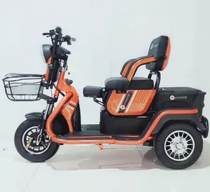 Sepeda Roda Tiga Listrik 650W 500W 350W Differiential Motor 3 Roda Trike CE untuk Penumpang Dewasa dan Kargo Membawa