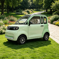 Quadricycle électrique L6e 45 km/h pour la mobilité des jeunes européens, certifié CEE, batterie au plomb 72V, véhicule électrique urbain basse vitesse