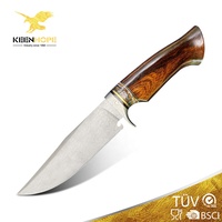 יוקרה הודי Wootz דמשק פלדת להב Inlayed ולי אבן ארה"ב מדבר Ironwood ידית אוסף דמשק הישרדות סכין