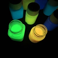 Ensemble de pigments lumineux imperméables et durables de 30ml peints à la main pour vêtements humains peinture de vêtements