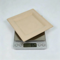 Assiette carrée jetable écologique de 6 pouces en canne à sucre compostable pour le camping et les fêtes, utilisable au micro-ondes
