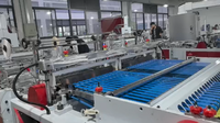 Machine de fabrication de sacs de courrier multifonctionnelle à deux lignes avec scellage latéral et découpe à chaud pour OPP, BOPP, PE
