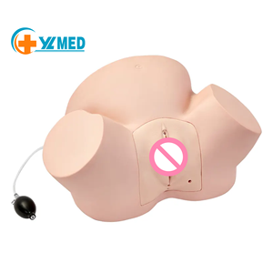 Maniquí de Enseñanza de Ciencias Médicas, Modelo Avanzado para Entrenamiento de Partería, Modelo de Entrenamiento de Parto <span class=keywords><strong>y</strong></span> Partería, CE/ISO - Product Image 3