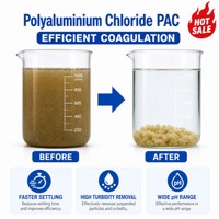 Produit chimique de traitement de l'eau potable, chlorure de polyaluminium de haute qualité