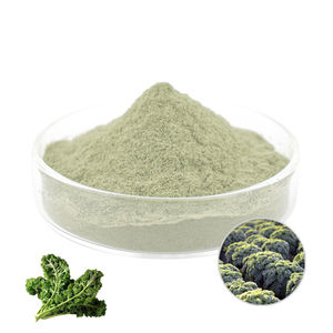 Bester Preis Grünkohl saft Gemüse pulver Grünkohl pulver - Product Image 3