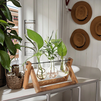 Support de terrarium en bois moderne et écologique pour la décoration de jardin, avec vase en verre pour plantes aériennes et support métallique pivotant à 3 ampoules