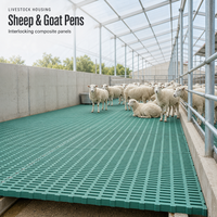 Plancher à lattes léger et facile à installer, résistant aux urines, avec grille en acier pour enclos de maternité de porcelets