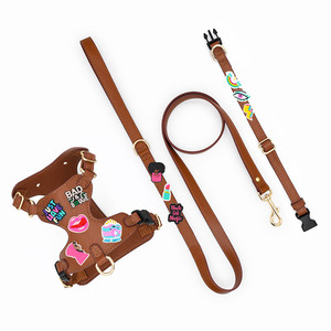 Arnés, Correa, Collar, Anillo para el Cuello y Diadema para Perro con Diseño de Dibujos Animados - Product Image 2