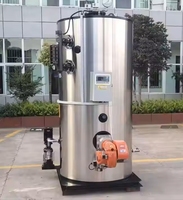 Ventes directes d'usine Zhongfei, générateur de vapeur au gaz diesel de 500 kg