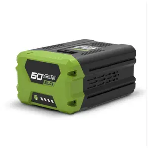 Usine 60 volts 5Ah forgreenwork Rechargeable 2949002 batterie au Lithium pour 60 V outils sans fil coupe-chaîne souffleur de feuilles Chainsa