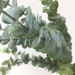 Pianta simulata <span class=keywords><strong>eucalipto</strong></span> foglia di denaro decorazione interna pianta verde composizione floreale ornamento singolo <span class=keywords><strong>eucalipto</strong></span> - Product Image 4