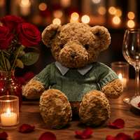 Adorable ours en peluche Sherpa en vert sauge pour un cadeau d'automne confortable