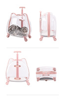 Valise pour animaux de compagnie personnalisée en ABS, entièrement transparente, respirante, type capsule spatiale, sac pour chat, pour l'extérieur, OEM, bagages à main pour les voyages