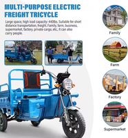 Elektrische vracht-driewieler met kiepbak 1000W60V32Ah zware uitvoering 3-wiel elektrische driewieler voor goederenvervoer en stedelijk transport