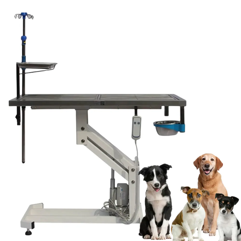 Attrezzatura veterinaria tavolo da intervento chirurgico esame esame Mobile tavolo operatorio veterinario idraulico