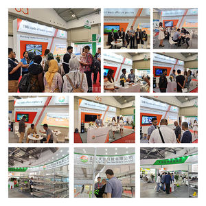 قفص دجاج شبكي مجلفن و قفص طبقات ل 200 طائر للبيع إنشاء مزرعة - Product Image 5