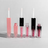 Gloss à lèvres double embout 3ml carré, rose dégradé tendance, hydratant, brillant, velours, waterproof