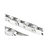 Chaînes de transmission personnalisées pour machine d'emballage en acier inoxydable à double pas C2040/C2050/C2060