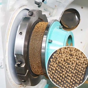 1-10t/h Biomass Wood Chip Fuel Pellet Production Line Trees Branches Wood Pellet Pelletizer Maker <b>Cat</b> <b>Litter</b> Making Machine - Product Image 6
