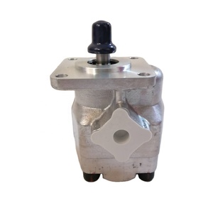 Pompe à engrenages 15PF11F50P04 pour support de rouleaux de machine Xinguang, ligne de production de boîtes en carton ondulé / Pompe de transfert d'huile haute pression - Product Image 1
