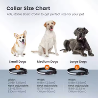 Collier LED rechargeable par USB pour chien, étanche, visibilité 500 m, 12 h de luminescence, sécurité, nylon, pour chiens de petite/moyenne/grande taille