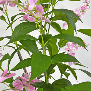 ดอกไม้ประดิษฐ์ดอกมะลิบอน<span class=keywords><strong>ไซ</strong></span>ประดิษฐ์เหมือนจริงขนาด180ซม. ดอกไม้ผ้าไหมเทียมสำหรับตกแต่งในร่ม - Product Image 4