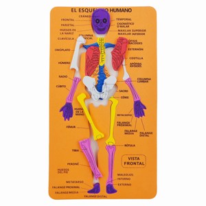 Rompecabezas de estructura de cuerpo humano <span class=keywords><strong>EVA</strong></span> al por mayor rompecabezas cognitivo <span class=keywords><strong>esqueleto</strong></span> Impresión de doble cara juguetes educativos para niños - Product Image 5