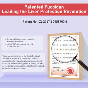 حبوب مكمل غذائي نباتي خالٍ من الغلوتين لدعم صحة الكبد، مكمل غذائي عشبي طبيعي لتمثيل الكحول وإزالة السموم - Product Image 5