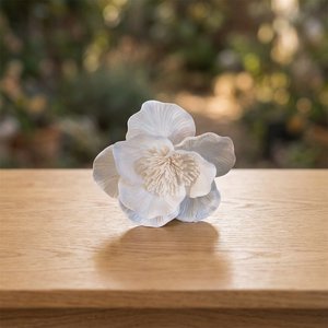 Best Selling 12CM Handmade Thailand Artificial Sola Wood Environmental Friendly White <b>Flowers</b> Home Decorative Wholesale Reed - Product Image 2