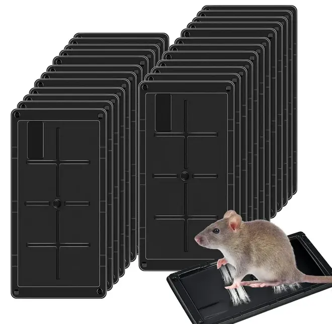 Sticky Bug Catcher for Home and Office Catchmaster Rat Glue Trap EasytoUse Rodent Control Solution