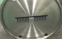 Matrice et manchon d'extrusion en acier H13 à ailettes haute densité pour radiateur dissipateur thermique, tolérance 0,02 mm, 45-55 HRC, modèle WEI LONG 98