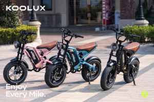 Vélo Électrique Enfant KOOLUX X9 Mini <span class=keywords><strong>Prix</strong></span> de Gros 500W Pneus Larges 16x4.0 Batterie 48V13Ah Autonomie 80KM Freins à Disque Doubles - Product Image 2