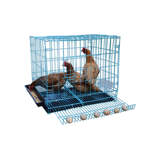 Jaula Plegable para <span class=keywords><strong>Gallinas</strong></span> Ponedoras y Pollos <span class=keywords><strong>de</strong></span> Engorde para Granja Avícola en <span class=keywords><strong>Venta</strong></span> - Product Image 3
