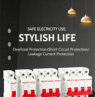 Protection par interrupteur différentiel 1P 6kA, capacité de coupure 220V/380V, tension nominale 63A, courant de fonctionnement DZ47S